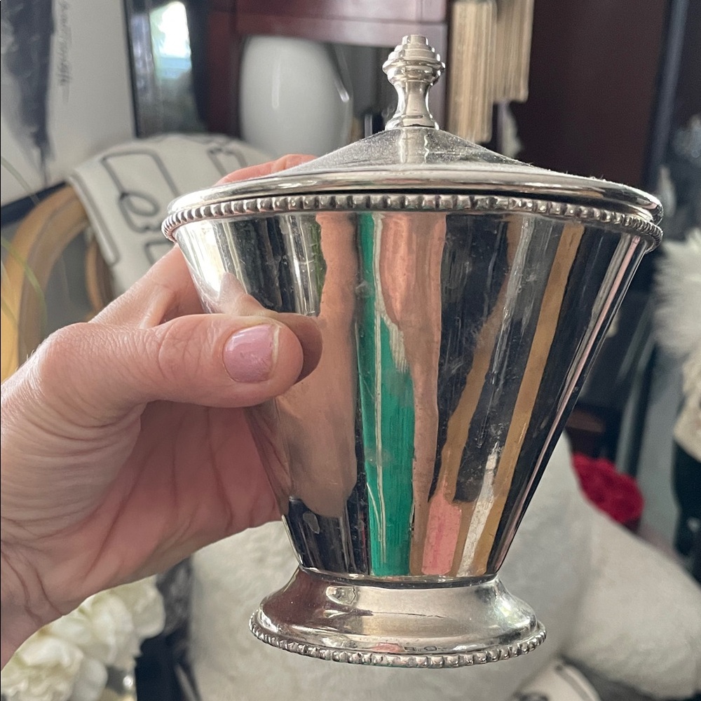 Elegant Silver Decorative container Jar